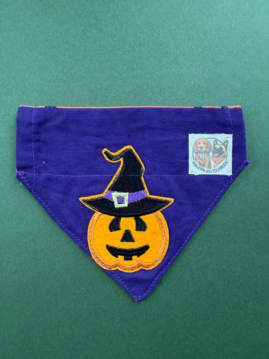 Hocus Pumpkin