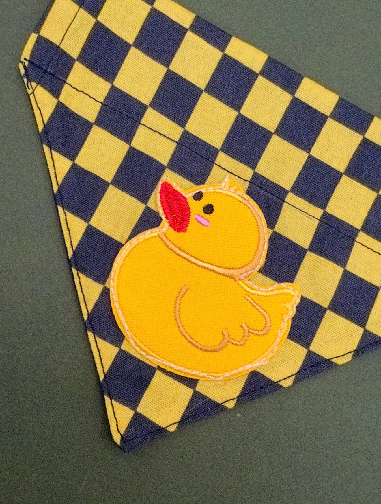 Lucky duck