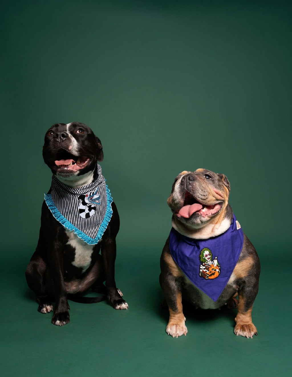 Sandworm’s